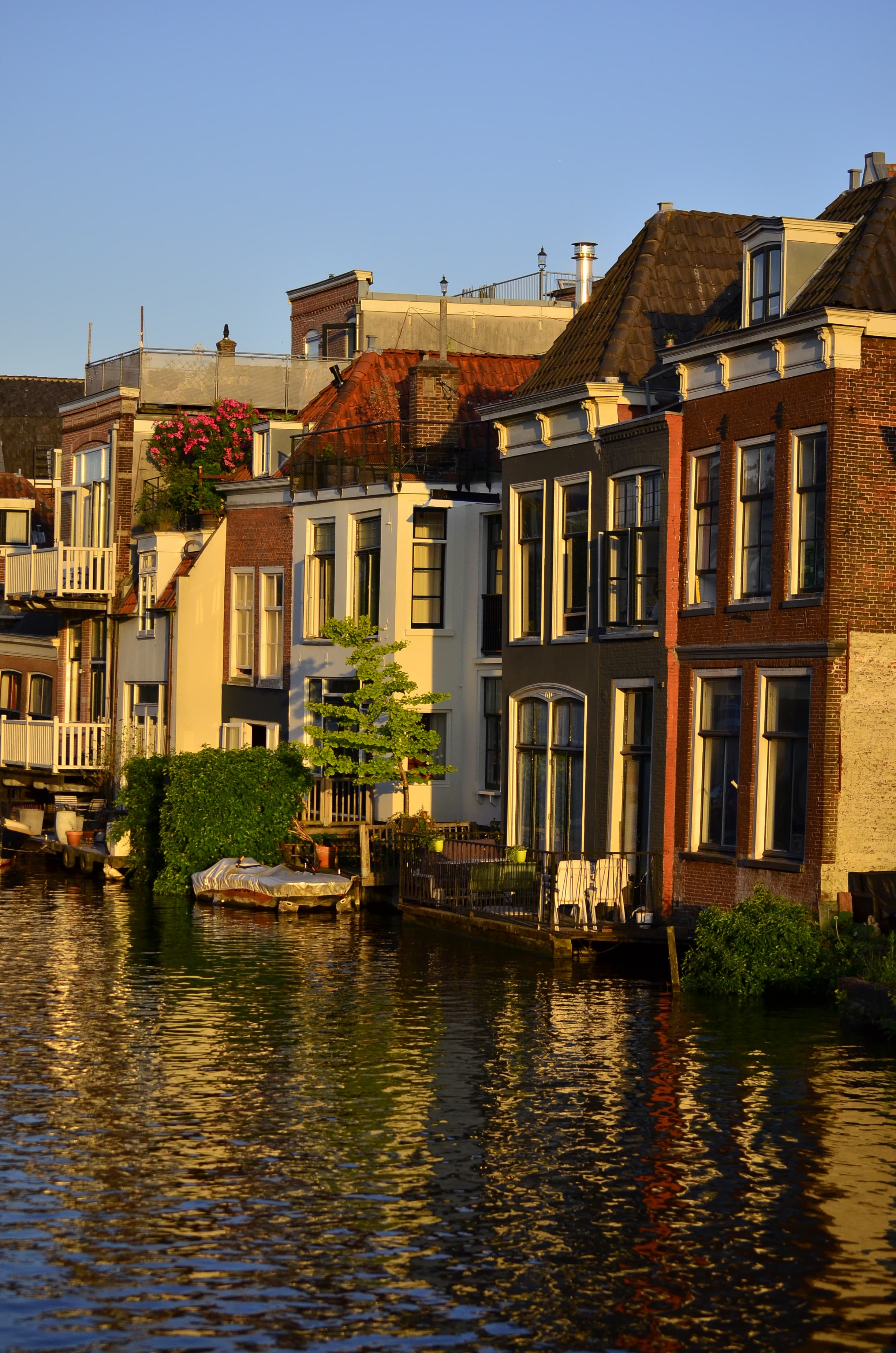 Historic canal houses catching warm evening light in Leiden
