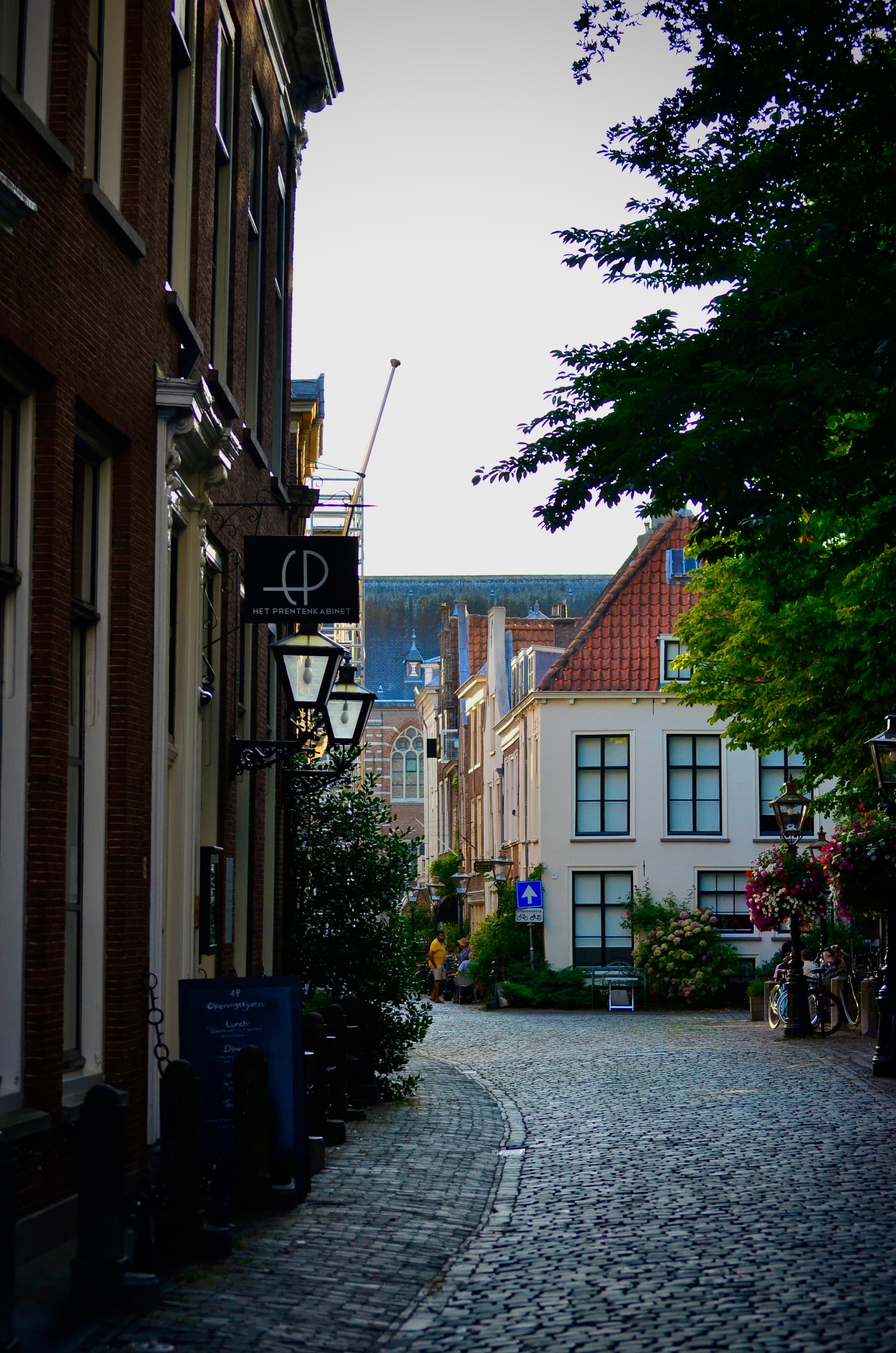 Cobblestone street creating strong leading lines through historic Leiden