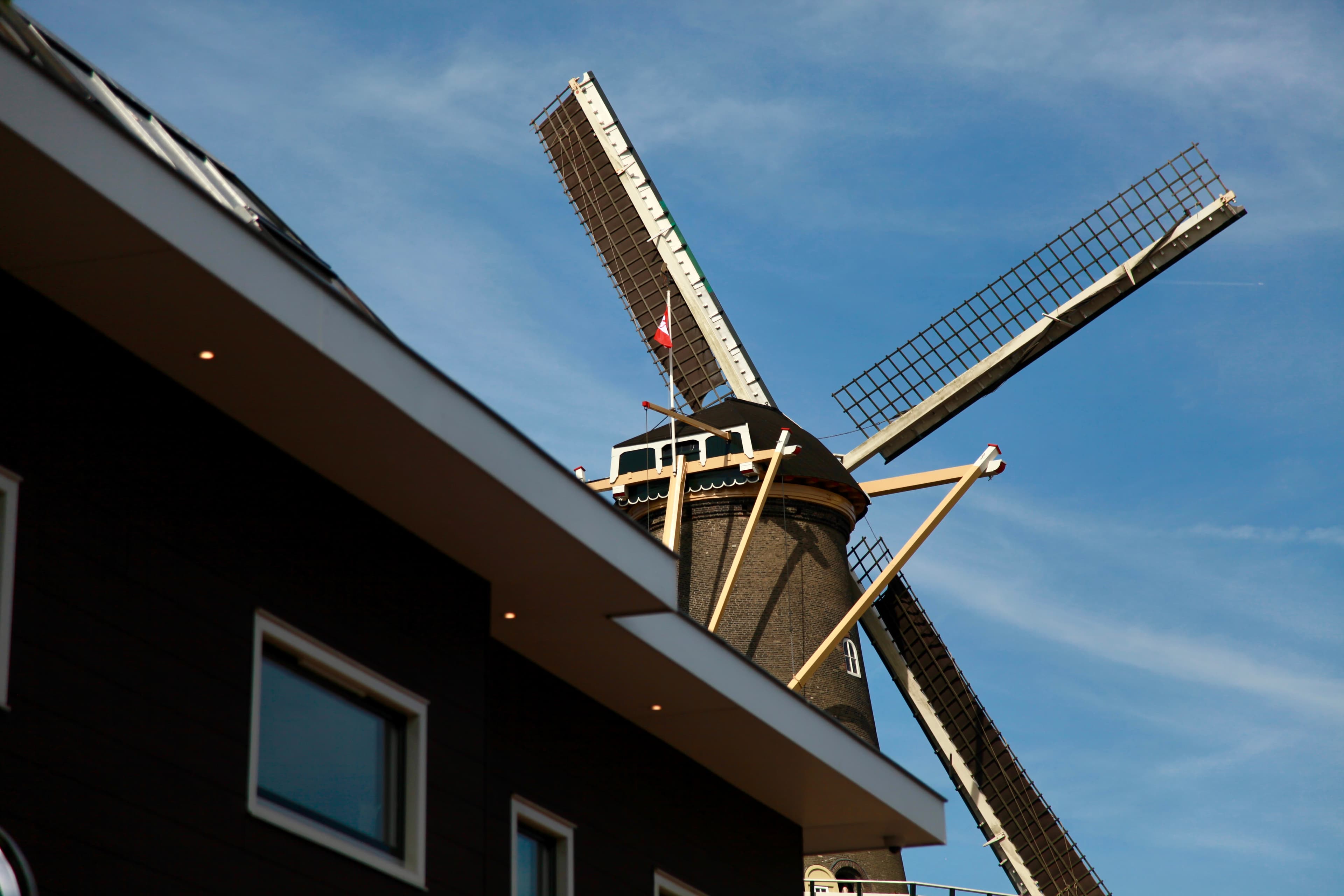 Windmill Rooftop in Leiden