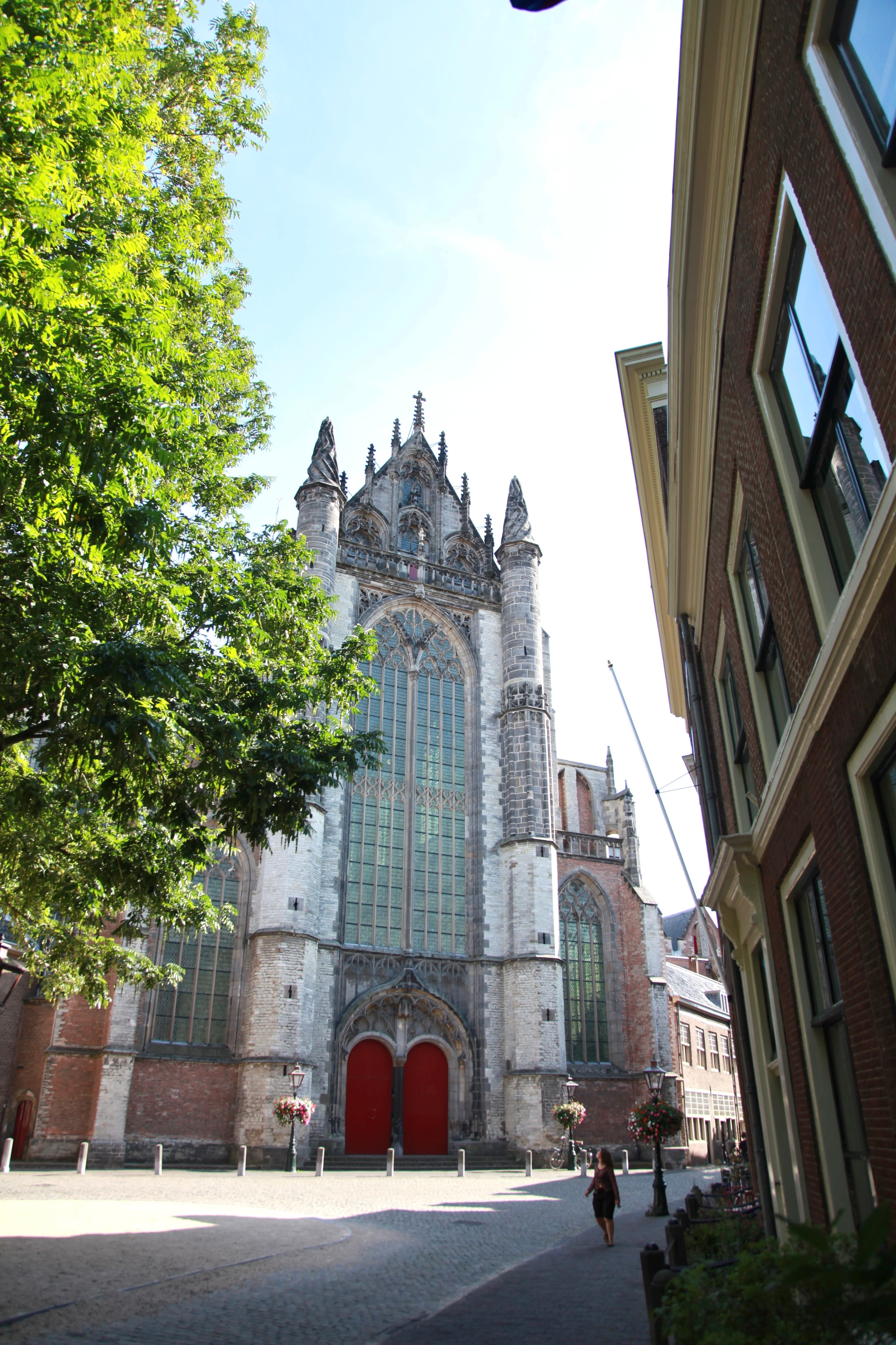 Pieterskerk framed between a tree and historic houses