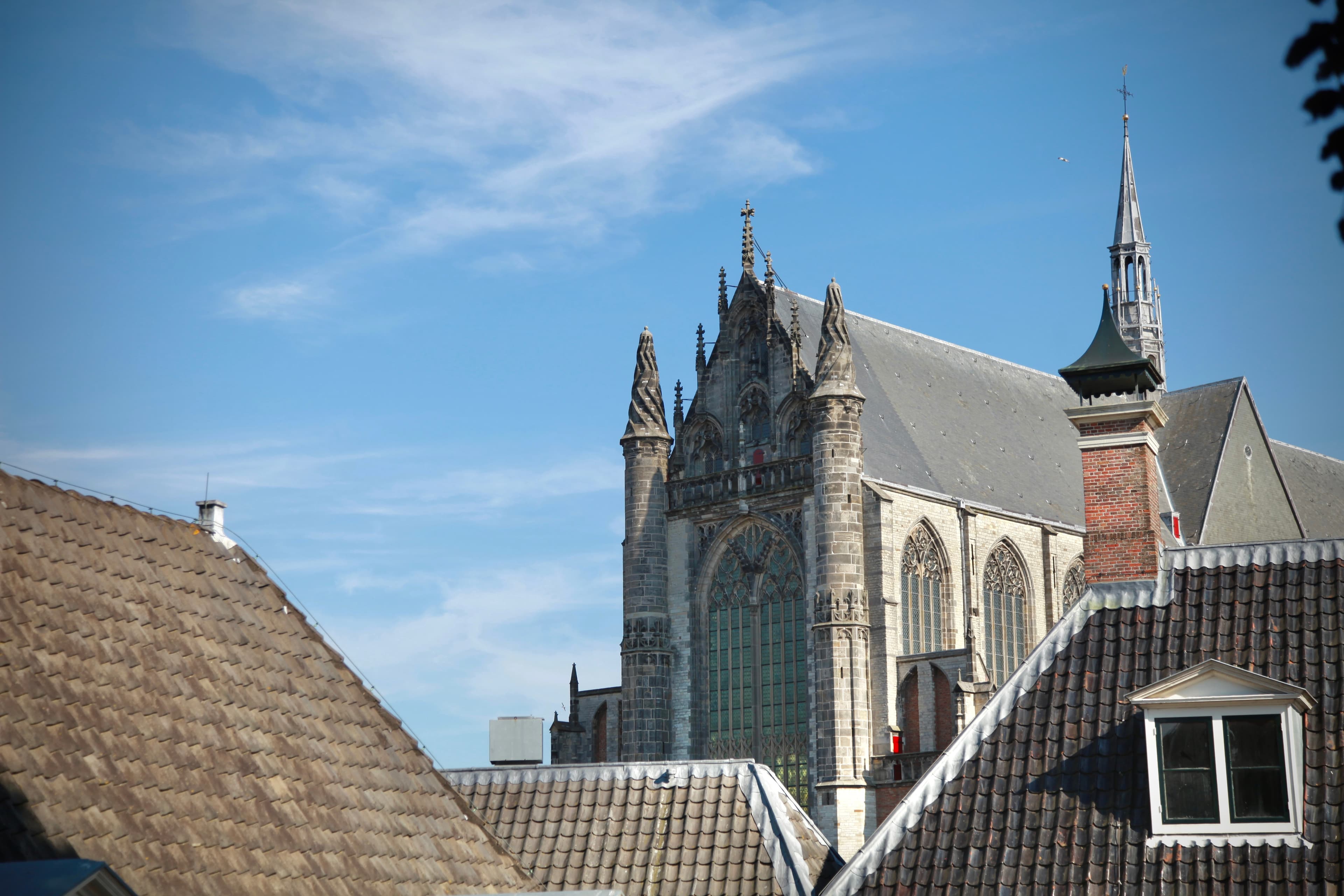 Pieterskerk isolated cleanly above a simple pattern of historic rooftops