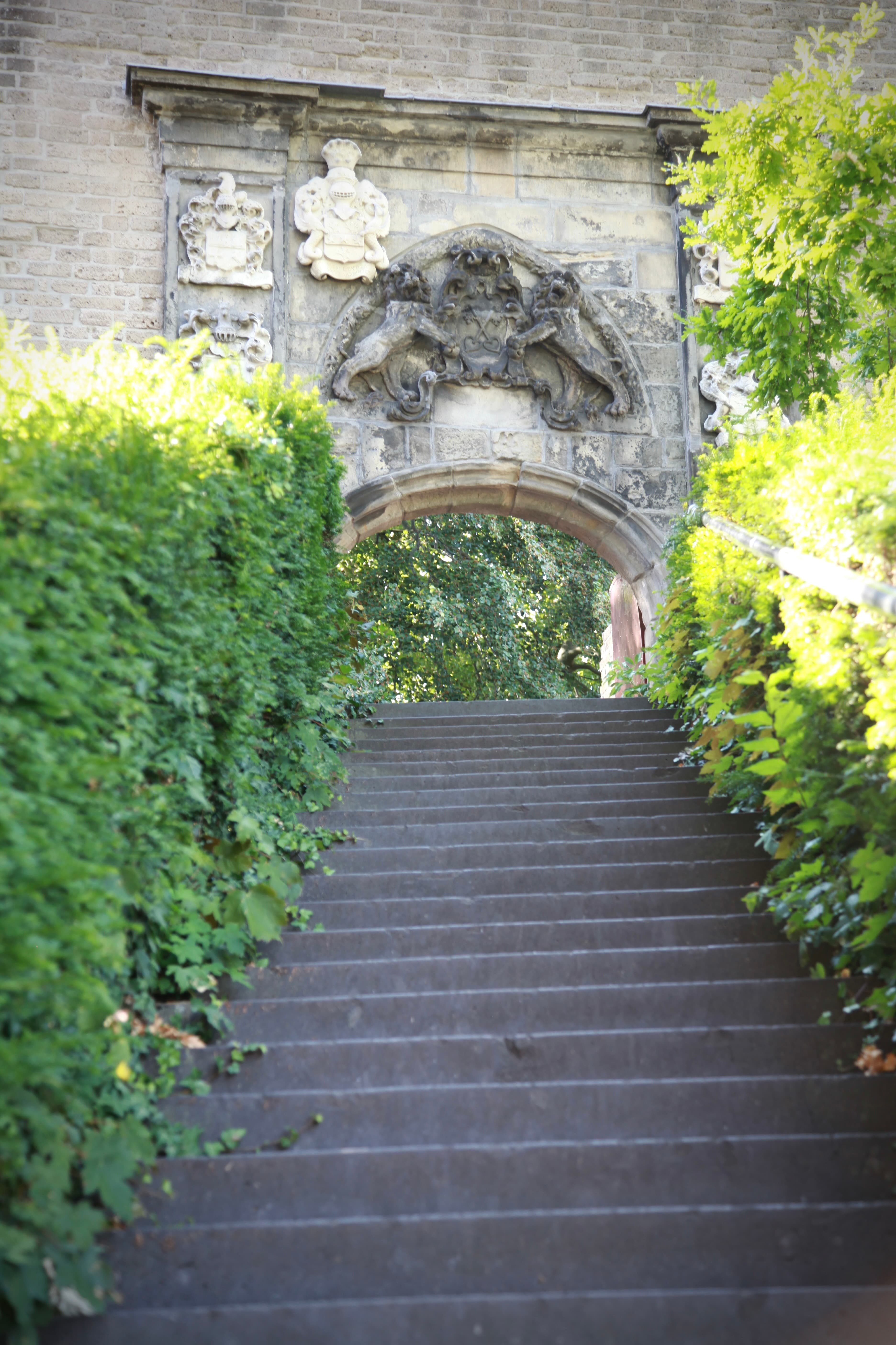 Greenery and steps leading to the historic gate of De Burcht