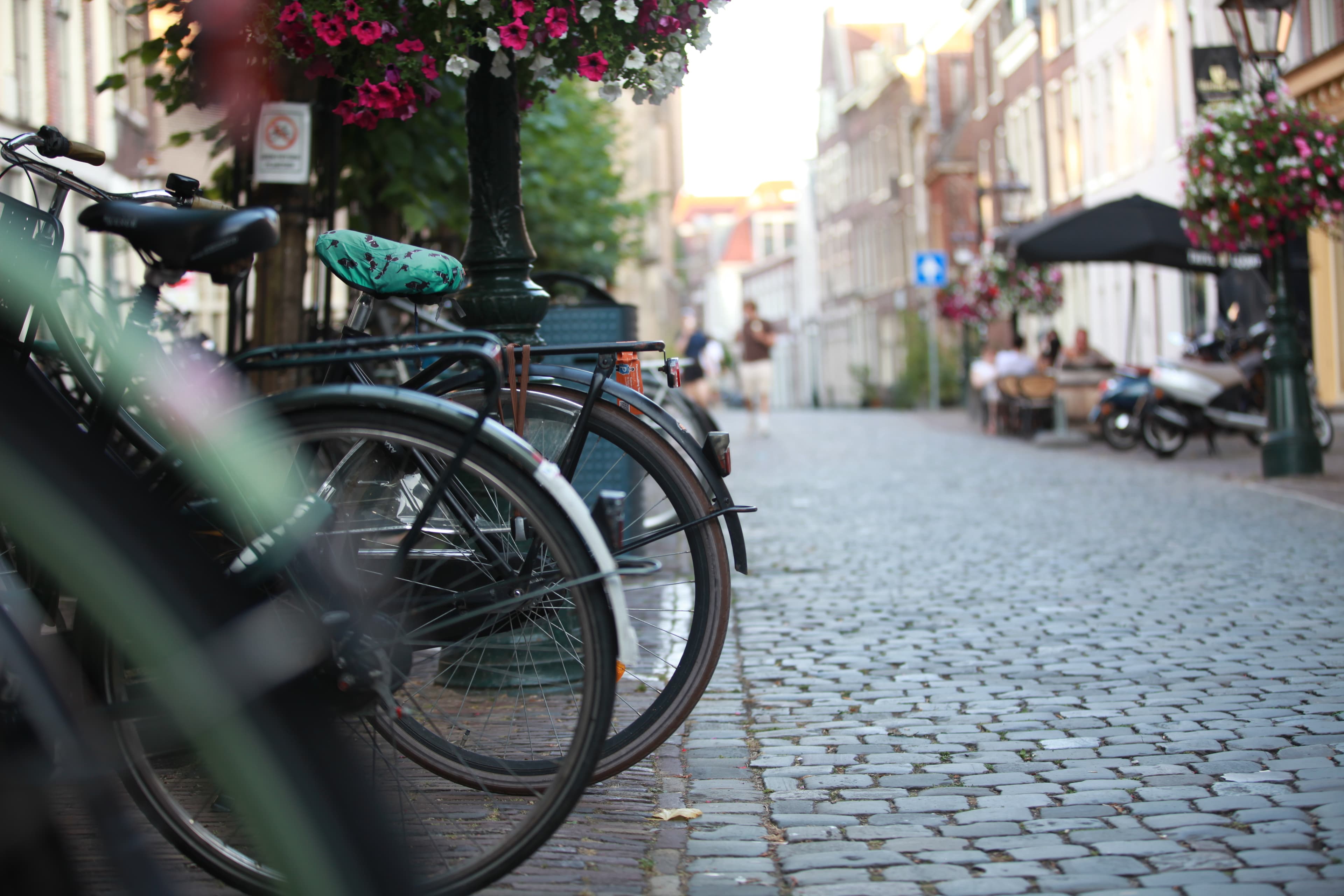 Bicycles along a flower-lined street in Leiden