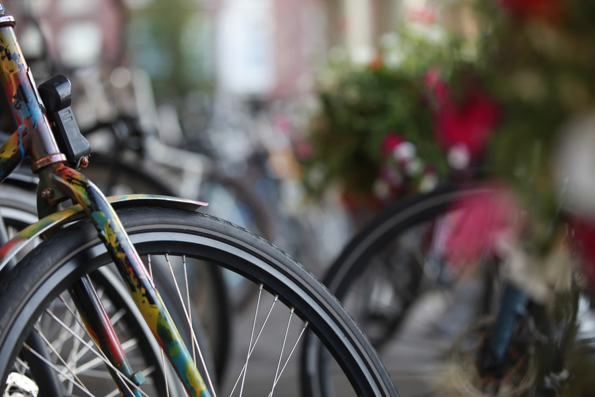 Bicycle wheel and flower-lined street in Leiden