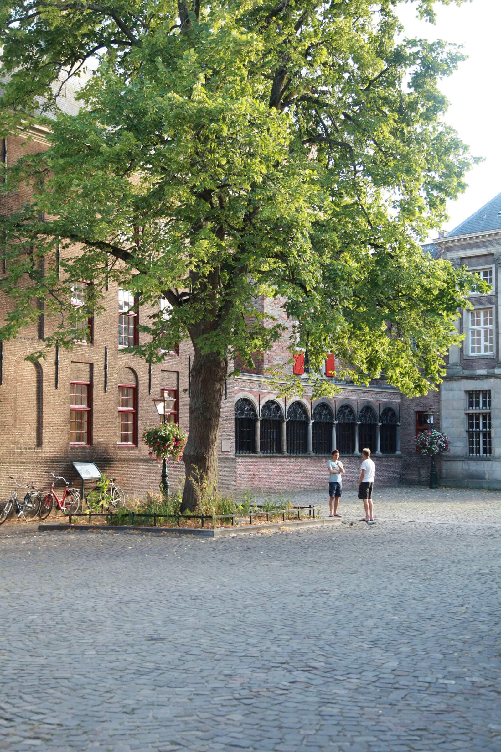 Church courtyard beneath a leafy canopy in Leiden