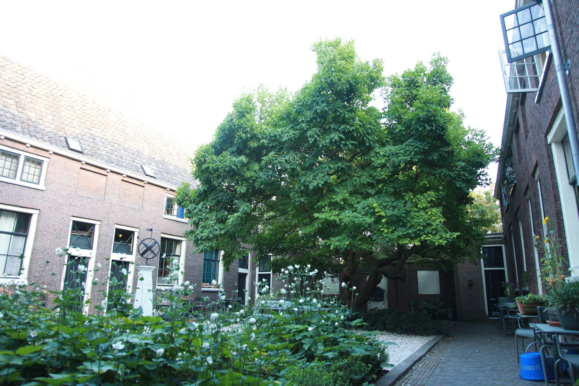 Quiet university courtyard in Leiden