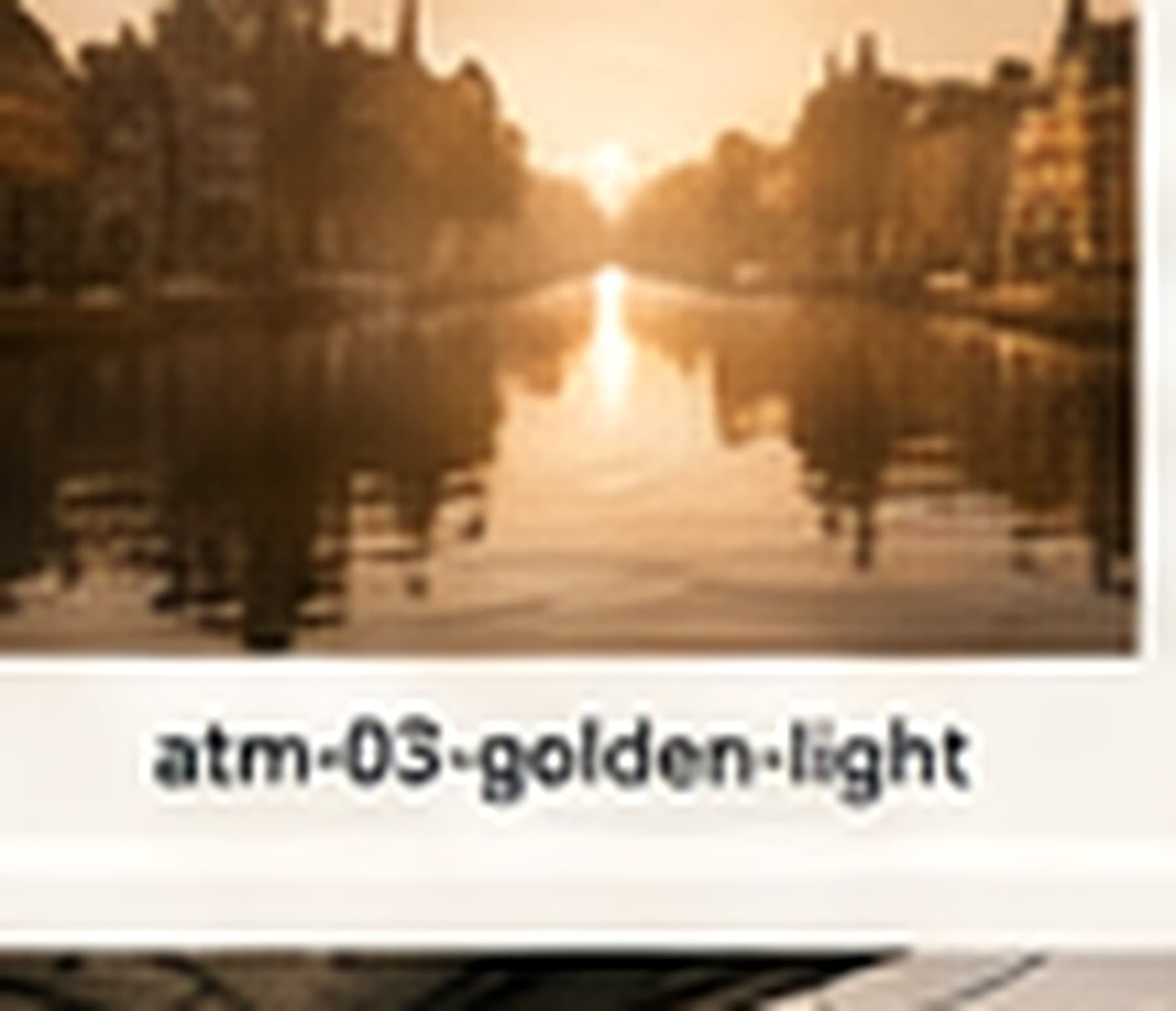 Golden light over a quiet Leiden canal