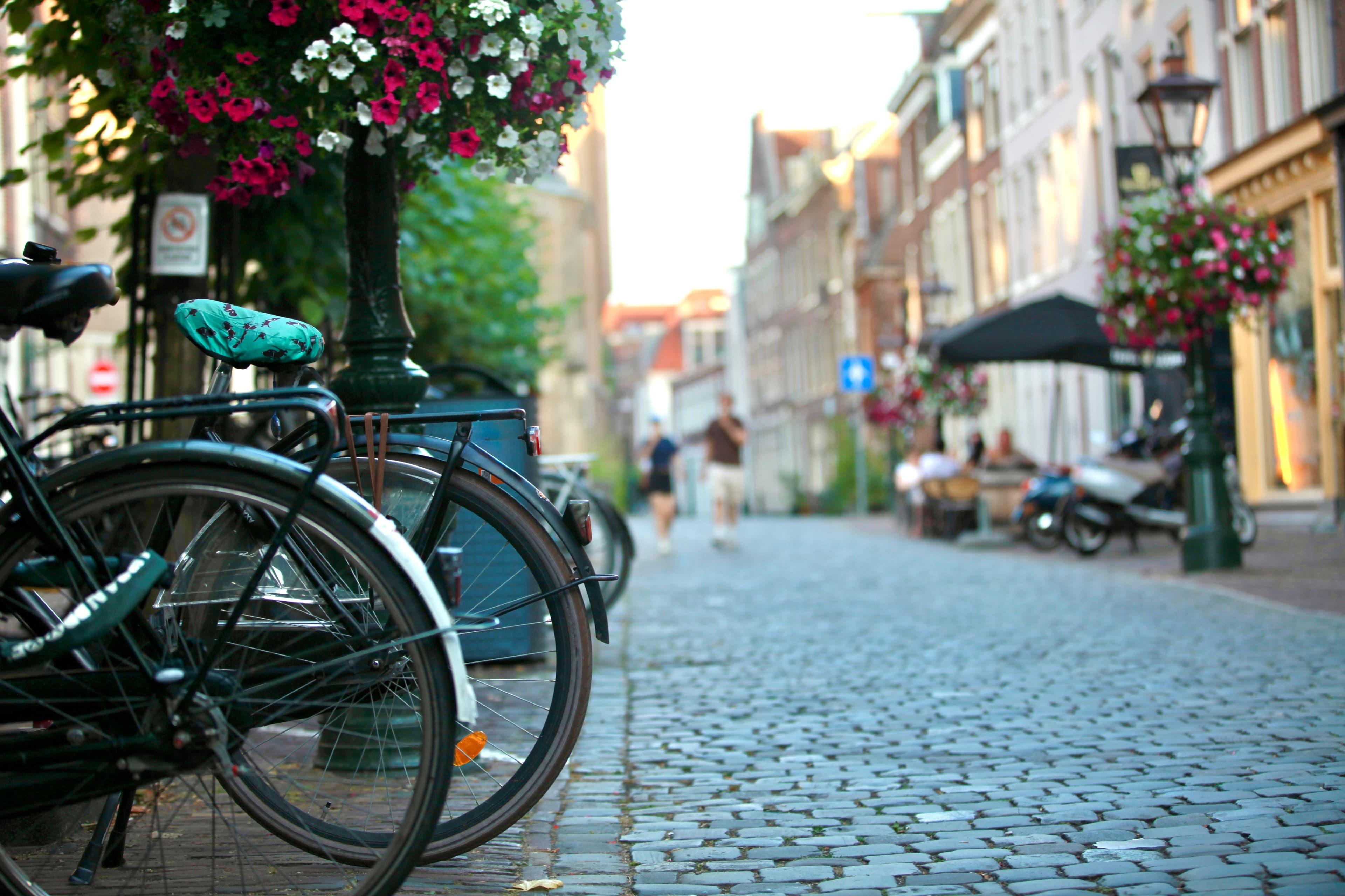 Bicycles and flower baskets on a welcoming Leiden street